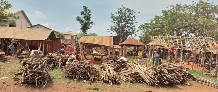 Le marche oba obada de pobe